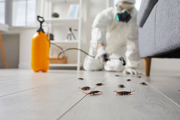 Commercial Kitchen Cockroach Control in Baxter Springs